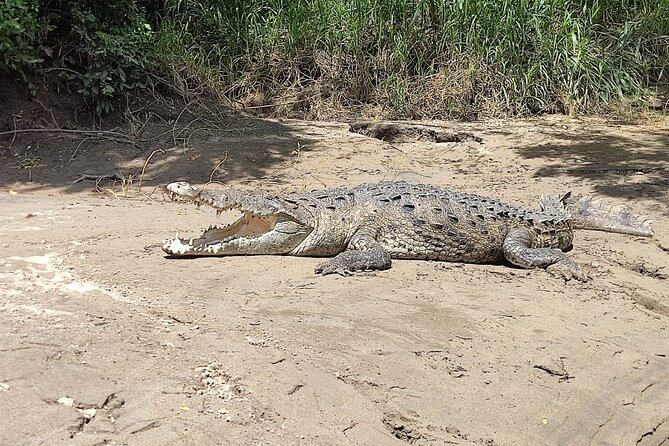 Palo Verde Wetlands Full Experience - Pickup Points and Schedule