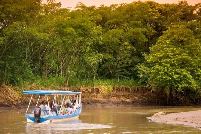 Palo Verde Wildlife Tour From Playa Hermosa-Coco Beach - Diverse Wildlife Sightings