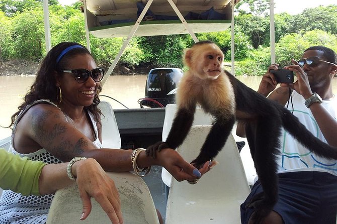 Palo Verde Wildlife Tour From Playa Hermosa-Coco Beach - Tour Inclusions