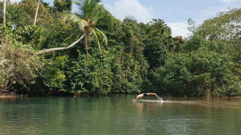 Palomino: Hiking Tour of Valencia Waterfalls With Transfers - Key Points