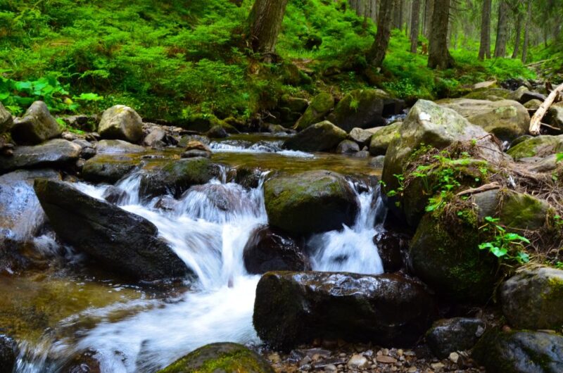 Palomino: Hiking Tour of Valencia Waterfalls With Transfers - Itinerary