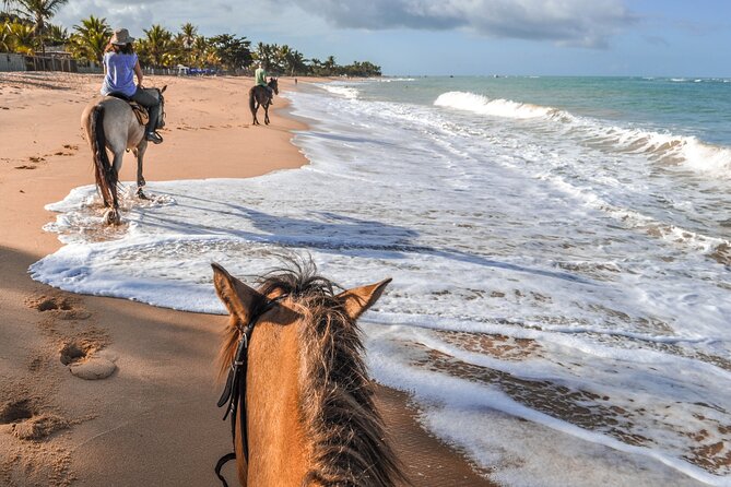 Palomino Horseback Riding Tour - Key Points
