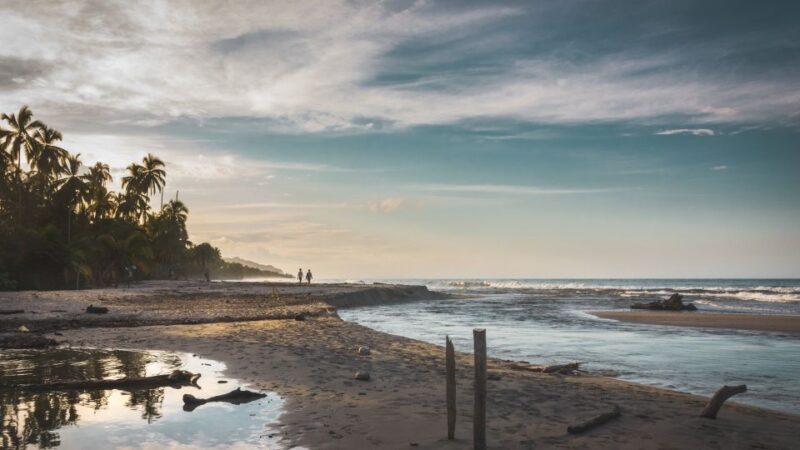 Palomino: Horseback Riding Tour on Palomino Beach - Itinerary