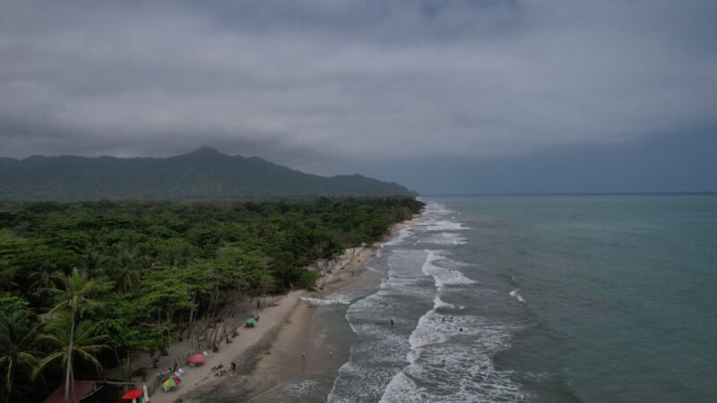 Palomino: Horseback Riding Tour on Palomino Beach - Experience Highlights