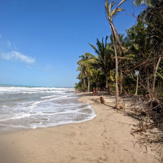 Palomino: Horseback Riding Tour on Palomino Beach - Tour Details