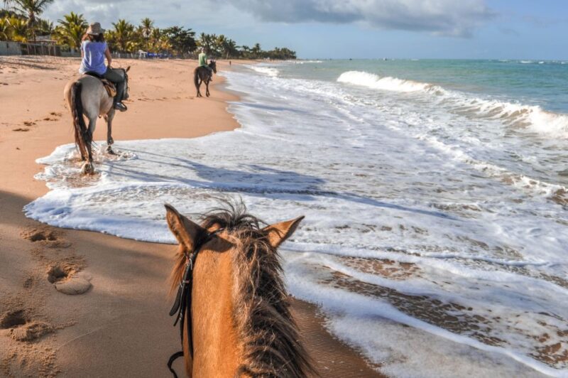 Palomino: Horseback Riding Tour on Palomino Beach - Inclusions and Requirements