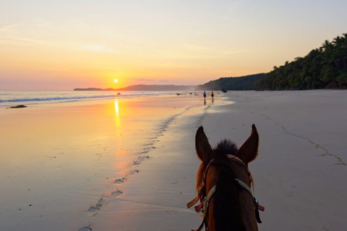 Palomino: Horseback Riding Tour on Palomino Beach - Recap