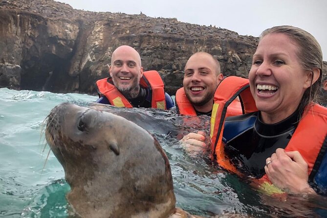 Palomino Islands Sea Lion Swimming Tour From Lima - Meeting and Pickup