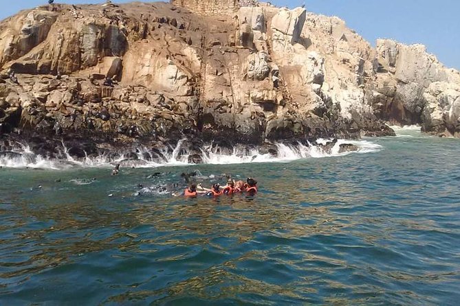 Palomino Islands Sea Lion Swimming Tour From Lima - Accessibility and Participation