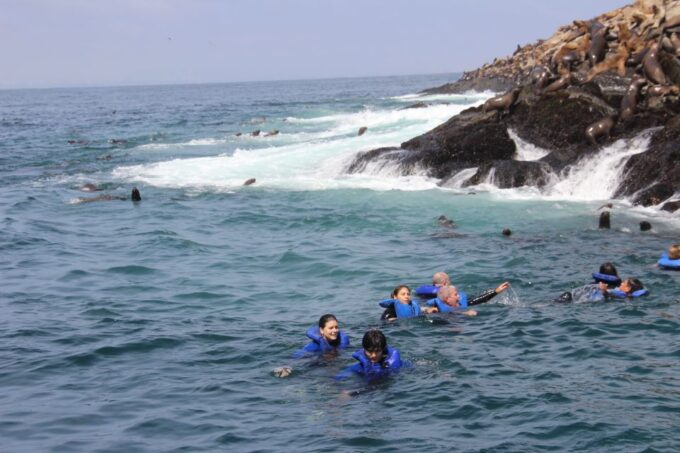 Palomino Islands: Swim With Sea Lions in the Pacific Ocean - Exploring the Islands