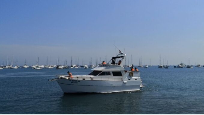 Palomino Islands: Swim With Sea Lions in the Pacific Ocean - Recommended Preparation
