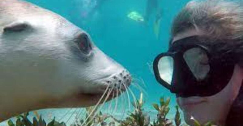 Palomino Islands - Swimming With Sea Lions - Itinerary Details