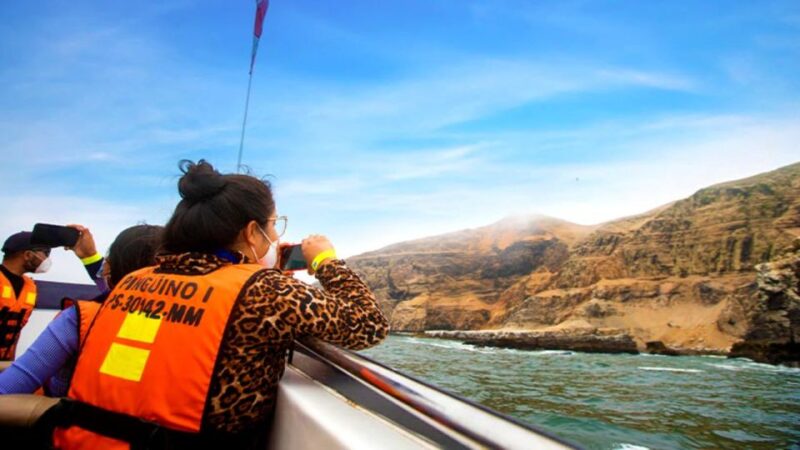 Palomino Islands - Swimming With Sea Lions - Natural Habitat Exploration