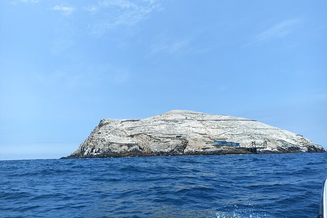 Palomino Islands Tour With Shuttle Service - Accessibility and Participant Requirements