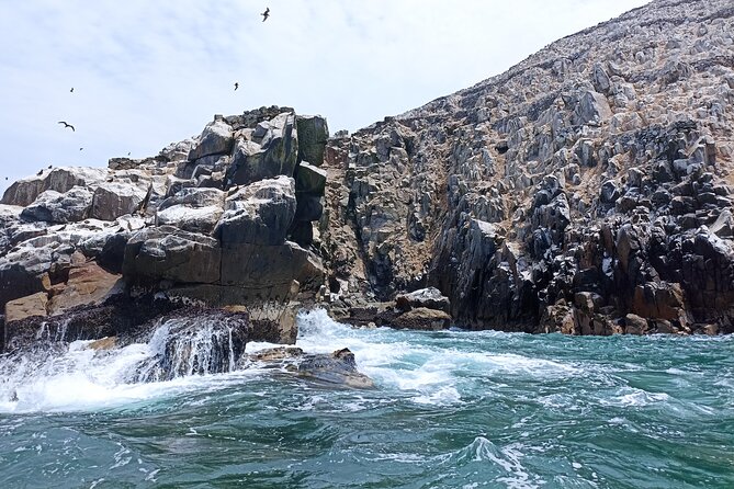 Palomino Islands Tour With Shuttle Service - Booking and Confirmation Process