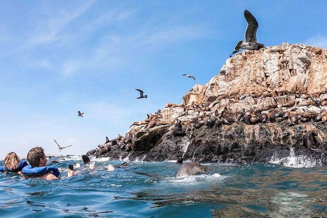 Palomino Islands Tour With Shuttle Service - Traveler Reviews and Ratings