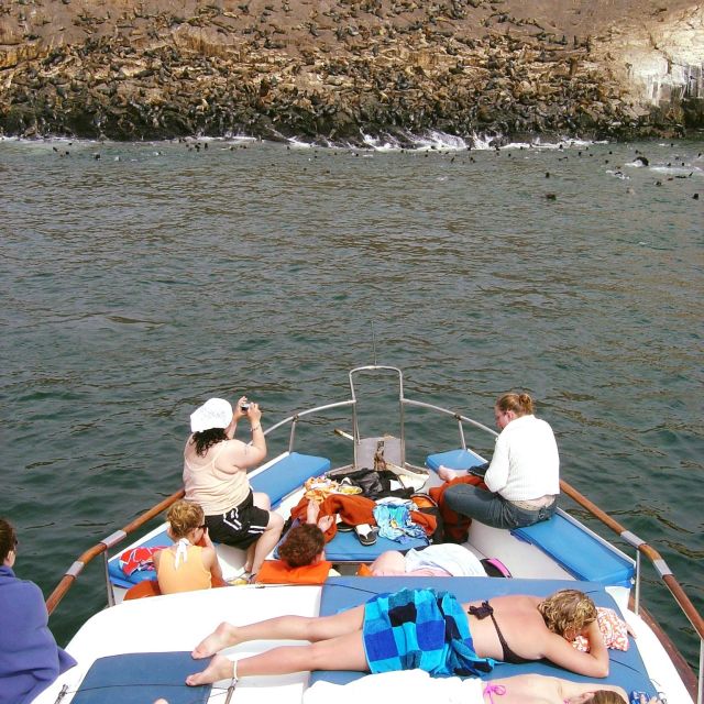 Palomino Islands Yacht Tour and Swim Alongside the Sea Lions - Itinerary and Transportation