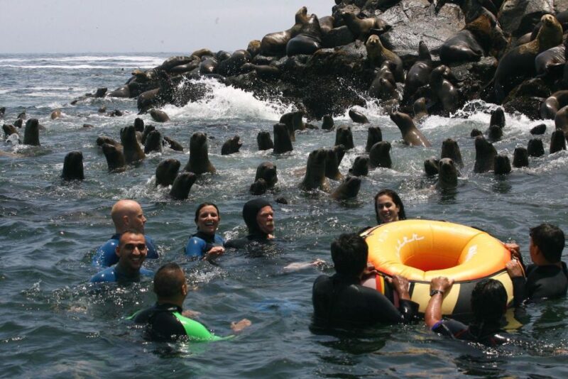 Palomino Islands Yacht Tour and Swim Alongside the Sea Lions - Itinerary and Locations