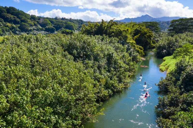 Palomino: Palomino River Paddle Board Adventure - Overview and Pricing