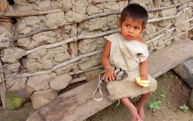 Palomino: Private Tour to Tungueka Indigenous Village - Transportation and Timing