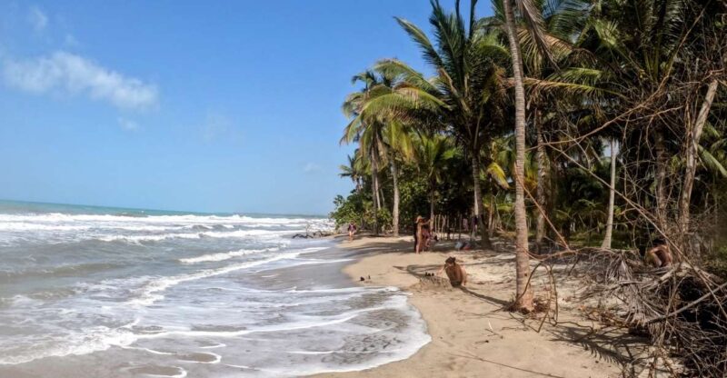 Palomino Quad Bike Tour - Pricing and Booking