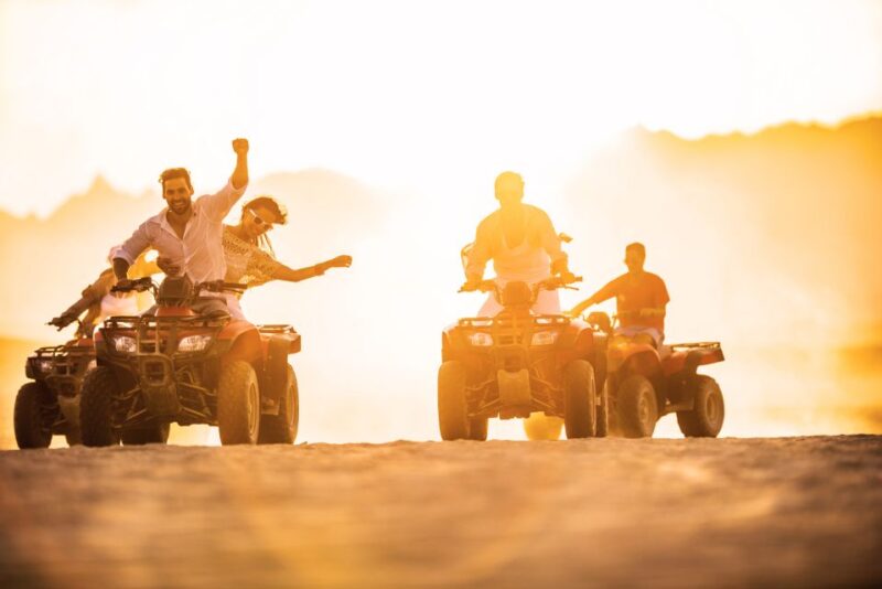 Palomino Quad Bike Tour - Key Points