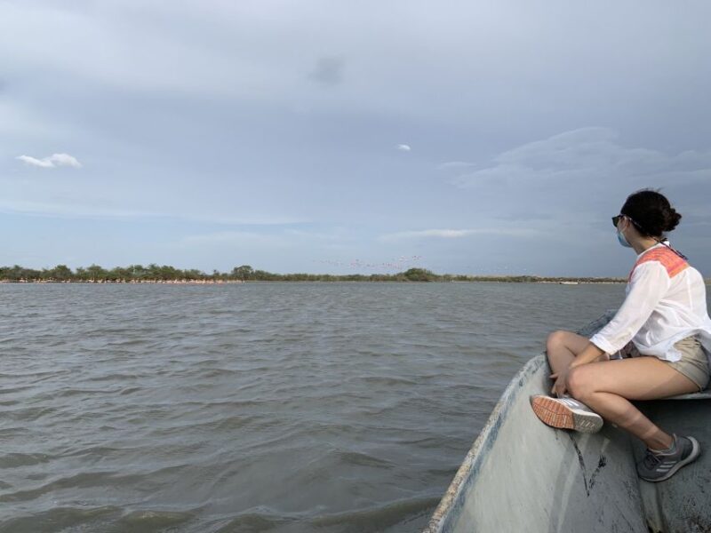 Palomino: Sanctuary of Flamingos Day Tour - Experience Details