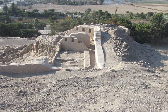 Palpa and Nazca Viewpoints and Cantalloc Aqueducts Combo - Tour Inclusions and Exclusions