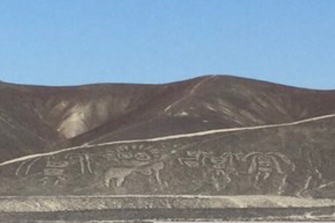 Palpa and Nazca Viewpoints and Cantalloc Aqueducts Combo - Booking and Cancellation Policy