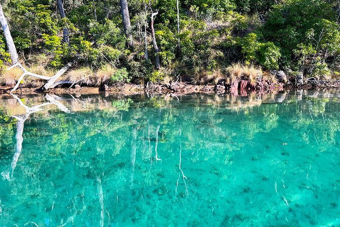 Pambula River Kayaking Tour - Health and Safety