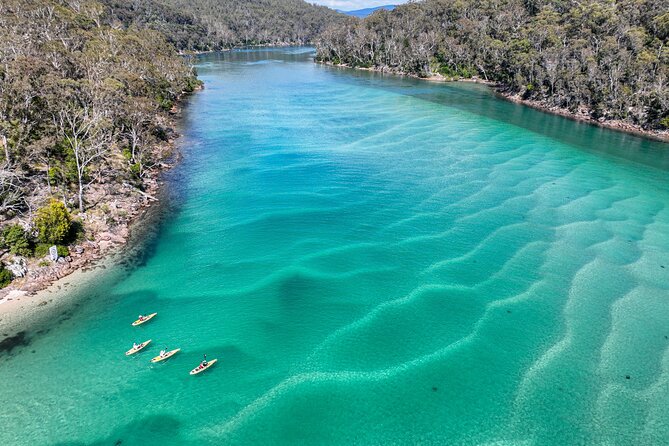 Pambula River Kayaking Tour - Traveler Reviews