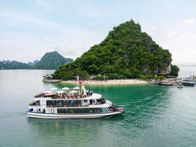 Pamela Cruise: Halong Bay Day Trip With Lunch & Activities - Exploring Sung Sot Cave and Luon Cave
