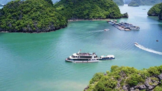 Pamela Cruise: Halong Bay Day Trip With Lunch & Activities - Since You Asked