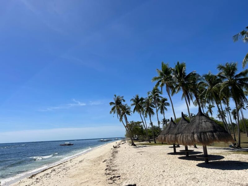 Pamilacan Island: Dolphins, Snorkel, Lunch and Walking Tour - Pickup and Guide