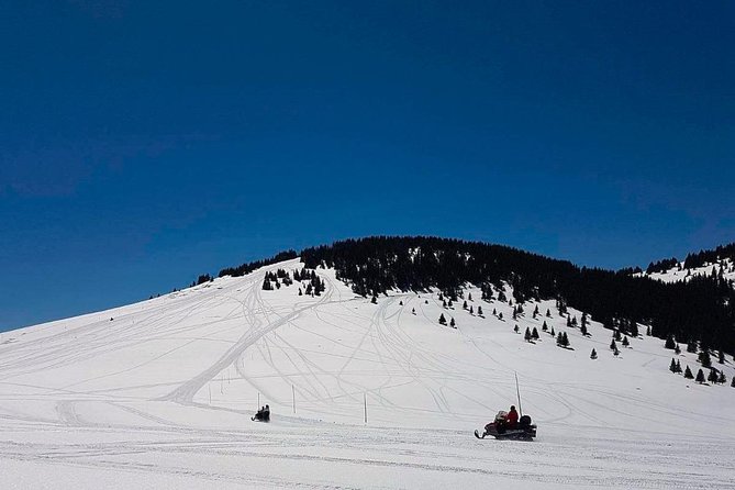 Pamporovo Ultimate Snowmobile Experience - Tour Rating and Provider