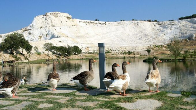 Pamukkale and Hierapolis: Full-Day Private or Group Tour - Main Attractions