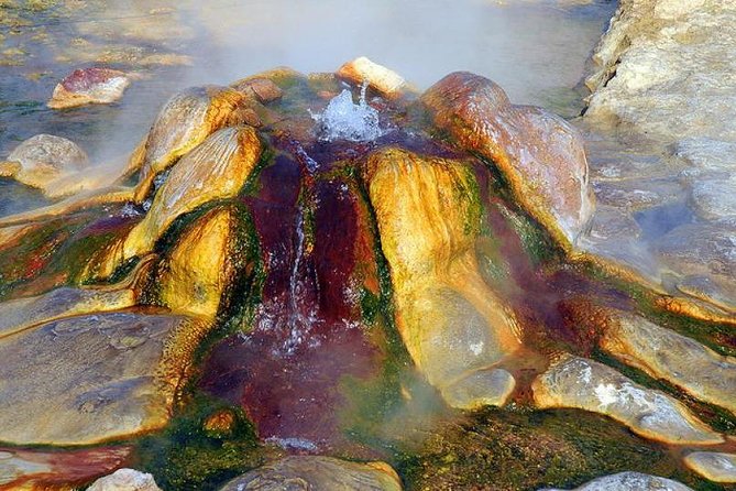 Pamukkale, Cleopatra'S Pool, Hieropolis From Antalya With Lunch - Reviews and Feedback