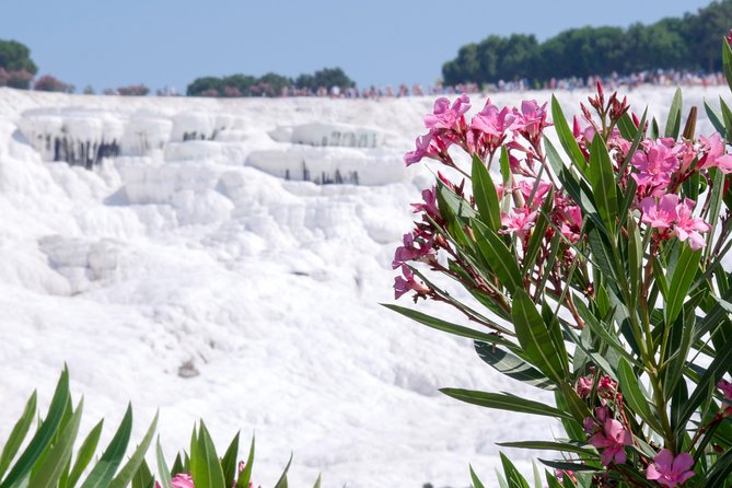 Pamukkale Day Tour From Selcuk - Tour Itinerary