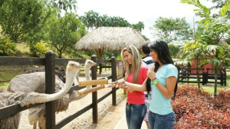Panaca Park Tour From Pereira or Armenia - Key Points