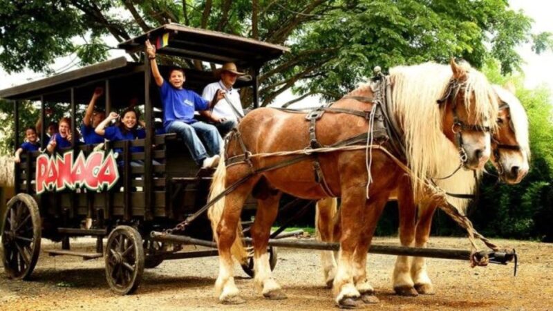 Panaca Park Tour From Pereira or Armenia - Highlights of the Experience