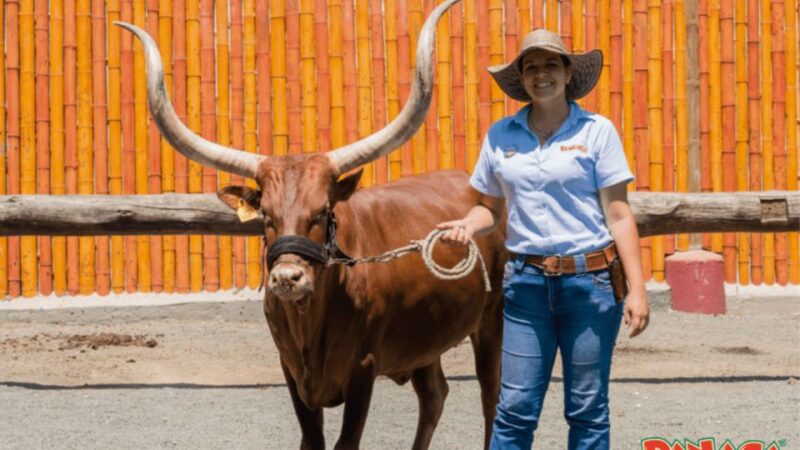 Panaca Park Tour From Pereira or Armenia - Interactive Exhibits