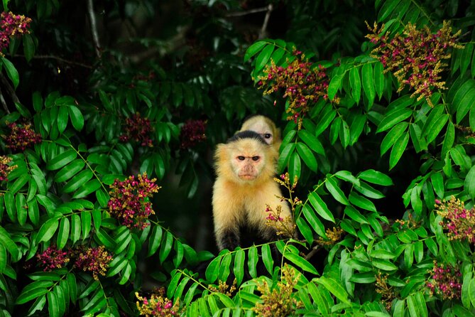 Panama Canal Eco Tour - Tour Experience and Feedback