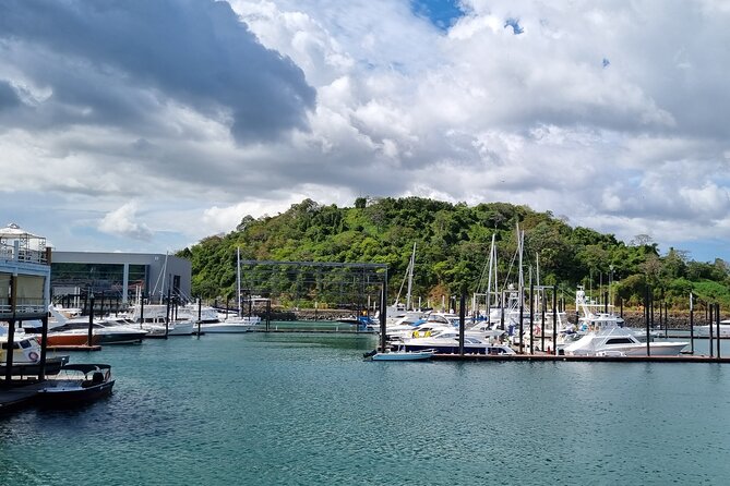 Panama Canal Tour - Miraflores Locks Visitor Center