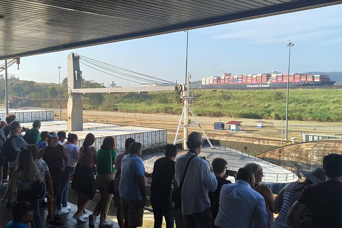 Panama Canal Tour: Miraflores Locks and Canal Zone - Reviews and Testimonials