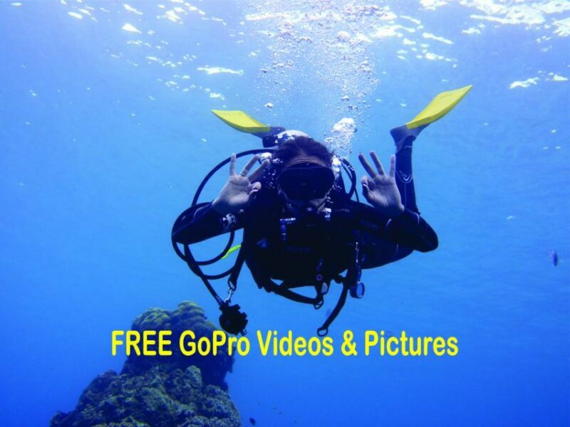 Panama City Beach: Beginners Scuba Diving Tour - Why This Tour Is a Great Choice