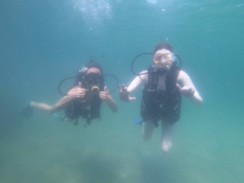 Panama City Beach: Beginners Scuba Diving Tour - The Experience in Action