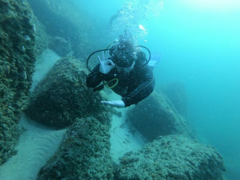Panama City Beach: Beginners Scuba Diving Tour - Who Will Love This Tour?