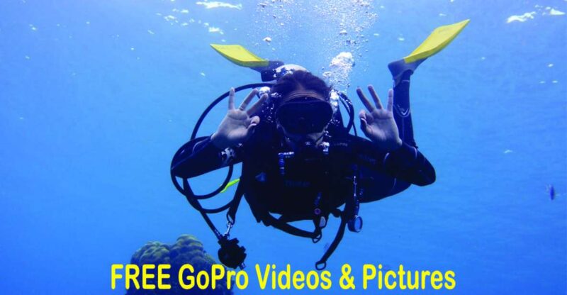 Panama City Beach: Beginners Scuba Diving Tour - Key Points