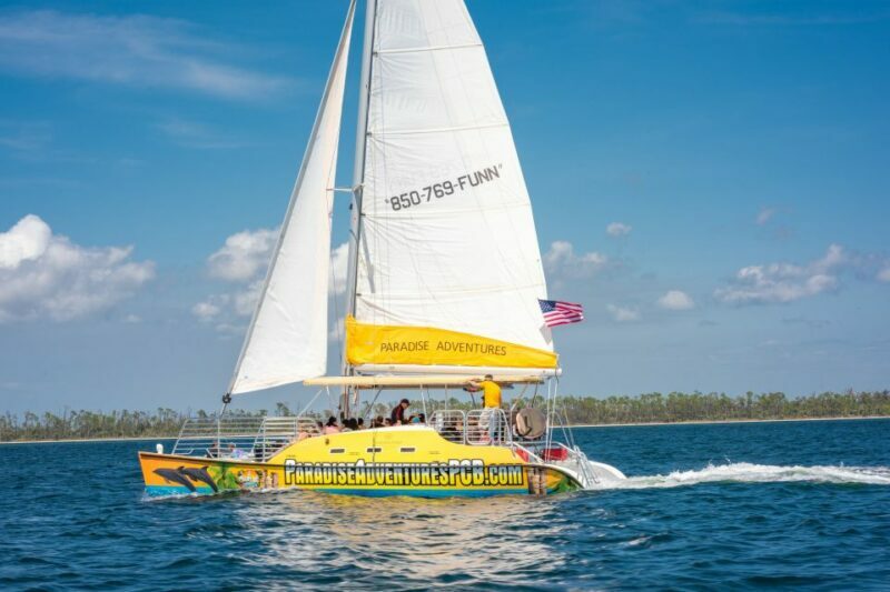 Panama City Beach: Dolphin Sightseeing Trip by Catamaran - What We Loved
