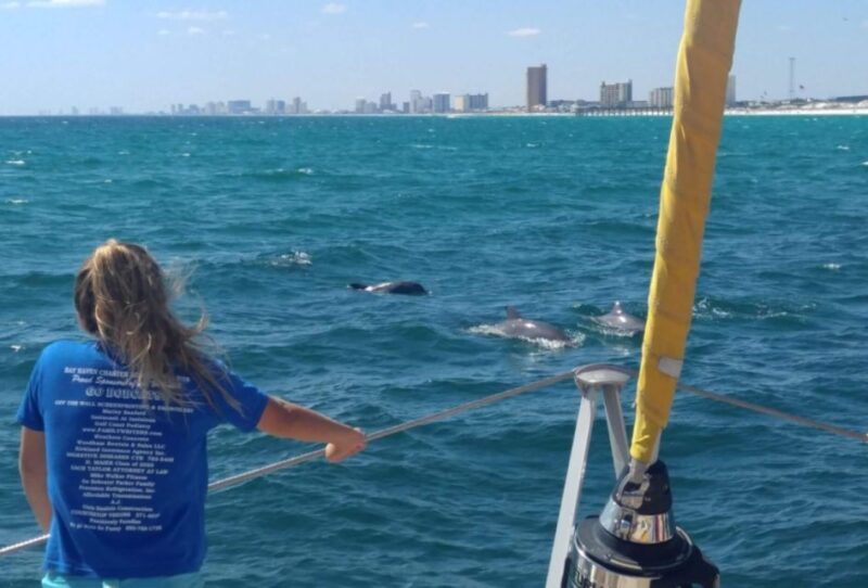 Panama City Beach: Dolphin Watching Trip by Catamaran - Boat and Amenities